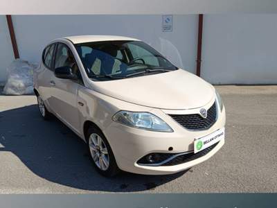 Lancia Ypsilon 1.2 69 CV 5 porte Gold Beige usata Feltre