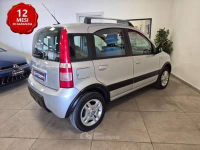 Fiat Panda Climbing Natural Power Metano Argento usata Casalgrande