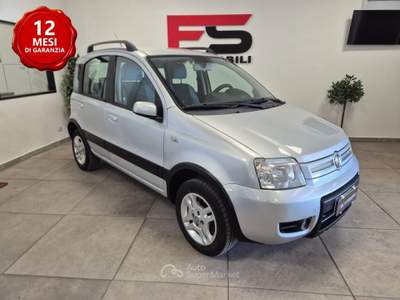 Fiat Panda Climbing Natural Power Metano Argento usata Casalgrande