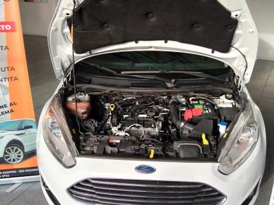 Ford Fiesta 5 porte Titanium usata Gualdo Tadino