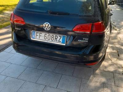 Volkswagen Golf Variant 1.4 TGI Metano usata Riccione