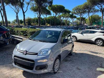 Fiat Panda 1.0cc HYBRID 70cv GSE Grigio usata Roma