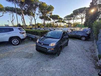 Fiat Panda 1.0cc HYBRID GSE CITYLIFE 70cv Grigio usata Roma
