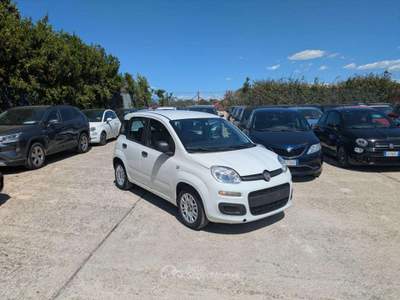 Fiat Panda HYBRID FIREFLY 1.0cc 70cv Bianco usata Roma