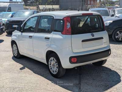 Fiat Panda HYBRID FIREFLY 1.0cc 70cv Bianco usata Roma