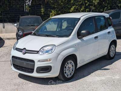 Fiat Panda HYBRID FIREFLY 1.0cc 70cv Bianco usata Roma