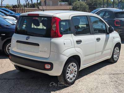 Fiat Panda HYBRID FIREFLY 1.0cc 70cv Bianco usata Roma