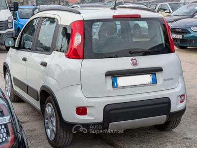 Fiat Panda HYBRID FIREFLY CITY LIFE 1.0cc 70cv Bianco usata Roma