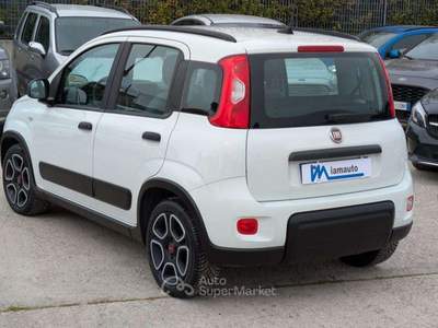 Fiat Panda EasyPower GPL 1.2cc 69cv AZIENDALE CERTIFICATA Bianco usata Roma