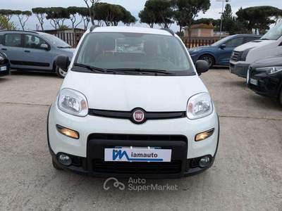 Fiat Panda EasyPower GPL 1.2cc 69cv AZIENDALE CERTIFICATA Bianco usata Roma