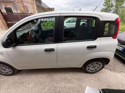 Fiat Panda PANDA 3*SERIE UNICO PROPRIETARIO FULL OPTIONAL Bianco usata CASAL DI PRINCIPE