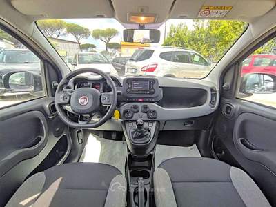 Fiat Panda 1.0cc HYBRID CITYLIFE 70cv Grigio usata Roma