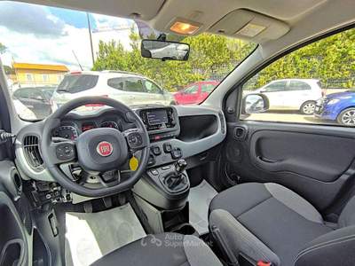 Fiat Panda 1.0cc HYBRID CITYLIFE 70cv Grigio usata Roma