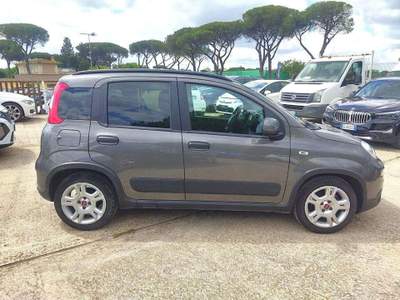 Fiat Panda 1.0cc HYBRID CITYLIFE 70cv Grigio usata Roma