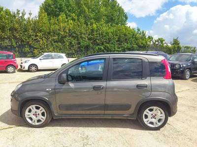 Fiat Panda 1.0cc HYBRID CITYLIFE 70cv Grigio usata Roma