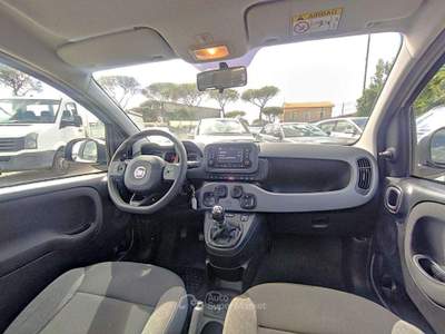 Fiat Panda 1.0cc HYBRID CITYLIFE 70cv Bianco usata Roma