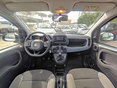Fiat Panda 1.0cc HYBRID CITYLIFE 70cv Bianco usata Roma