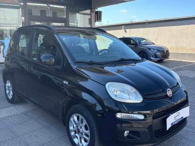 Fiat Panda usato garantito, unico proprietario Nero usata San Tammaro