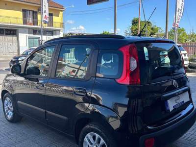 Fiat Panda usato garantito, unico proprietario Nero usata San Tammaro