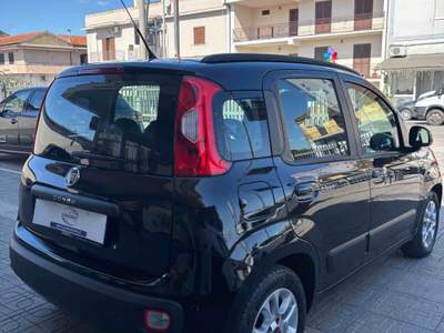 Fiat Panda usato garantito, unico proprietario Nero usata San Tammaro