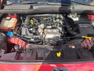 Ford C-Max  Rosso usata Mantello