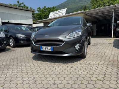 Ford Fiesta Mk7 1.1 Ti-VCT Benzina Grigio usata Mantello