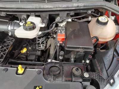 Ford Transit CUSTOM 2.2 TDCi Diesel 125 CV Rosso usata Mantello
