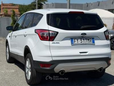 Ford Kuga 1.5 TDI 120 CV SeS 2WD Powershift Edition Bianco usata Fiumicino