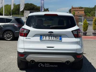 Ford Kuga 1.5 TDI 120 CV SeS 2WD Powershift Edition Bianco usata Fiumicino