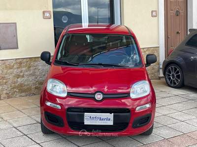 Fiat Panda Easy 69cv "Adatta anche per neopatentati" Rosso usata COSOLETO