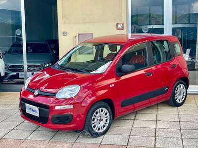 Fiat Panda Easy 69cv "Adatta anche per neopatentati" Rosso usata COSOLETO