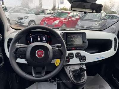 Fiat Panda PANDINA CROSS HYBRID 1.0cc 70cv Bianco usata Roma