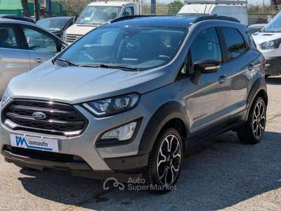 Ford EcoSport Active 1.0cc 125cv CAMERA POST. SEDILI IN PELLE Grigio usata Roma