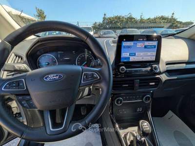 Ford EcoSport Active 1.0cc 125cv CAMERA POST. SEDILI IN PELLE Grigio usata Roma
