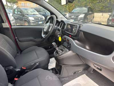 Fiat Panda Cross HYBRID CROSS 1.0 70cv Rosso usata Roma
