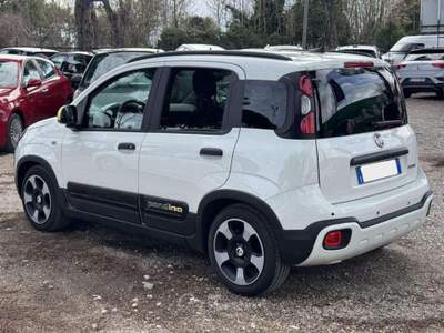 Fiat Panda PANDINA CROSS HYBRID 1.0cc 70cv Bianco usata Roma