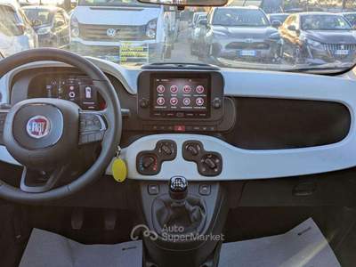 Fiat Panda PANDINA CROSS HYBRID 1.0cc70cv Verde usata Roma