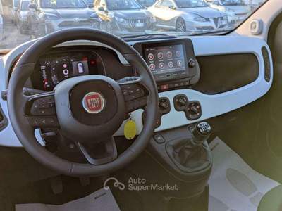 Fiat Panda PANDINA CROSS HYBRID 1.0cc70cv Verde usata Roma
