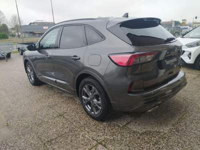 Ford Kuga 2.5 Full Hybrid 190 CV CVT 2WD ST-Line Grigio usata ROVIGO