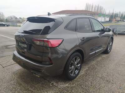 Ford Kuga 2.5 Full Hybrid 190 CV CVT 2WD ST-Line Grigio usata ROVIGO