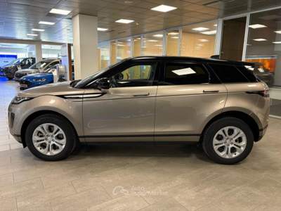 Land Rover Range Rover Evoque 2.0 ibrido/diesel  163cv.  4x4  SE , Km 54.000 Bronzo usata Alba