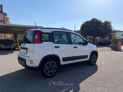 Fiat Panda VETTURA DEL MERCATO ITALIANO Bianco usata SANT'AGATA DE'  GOTI