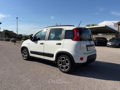 Fiat Panda VETTURA DEL MERCATO ITALIANO Bianco usata SANT'AGATA DE'  GOTI