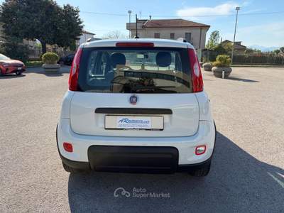 Fiat Panda VETTURA DEL MERCATO ITALIANO Bianco usata SANT'AGATA DE'  GOTI