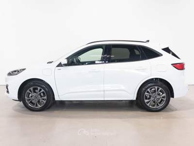 Ford Kuga Plug In Hybrid 225 CV CVT 2WD ST-Line X Bianco usata Brescia