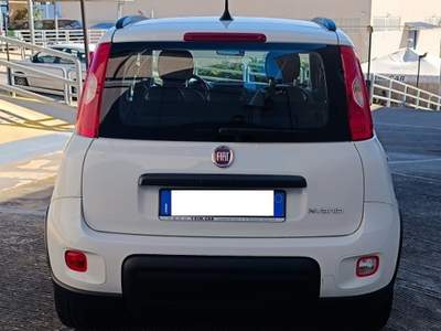 Fiat Panda Panda Bianco usata Modugno