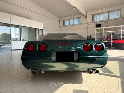 Chevrolet Corvette CHEVROLET Corvette C4 LT1 Manuale - Polo Green II - ASI Verde usata Occhiobello