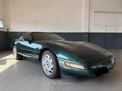 Chevrolet Corvette CHEVROLET Corvette C4 LT1 Manuale - Polo Green II - ASI Verde usata Occhiobello