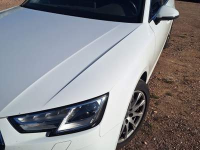 Audi A4 2.0 TDI 110kW multitronic Business Plus Avant usata Gardolo