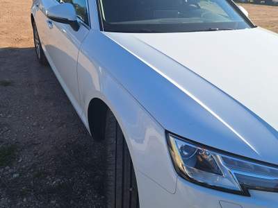 Audi A4 2.0 TDI 110kW multitronic Business Plus Avant usata Gardolo